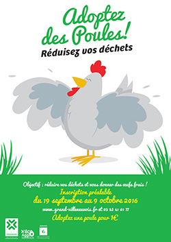Adoptez des poules : réduction des déchets en Grand Villeneuvois Adoptez des poules : réduction des déchets en Grand Villeneuvois