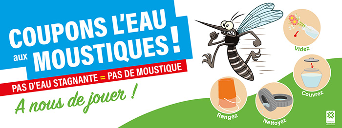 Moustique tigre à Villeneuve Moustique tigre à Villeneuve