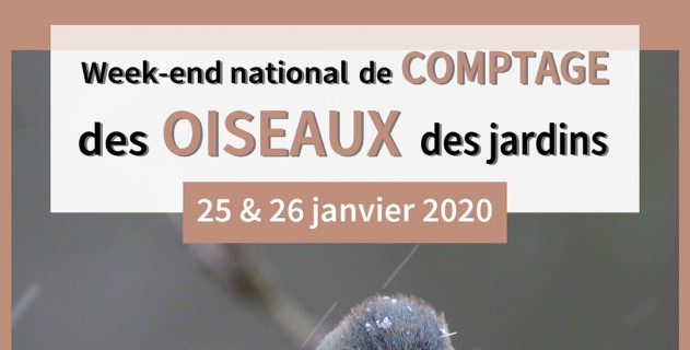 Atlas de la Biodiversité Communale (ABC) : comptage des oiseaux des jardins.