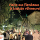 Visite aux flambeaux