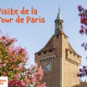 Visite de la Tour de Paris